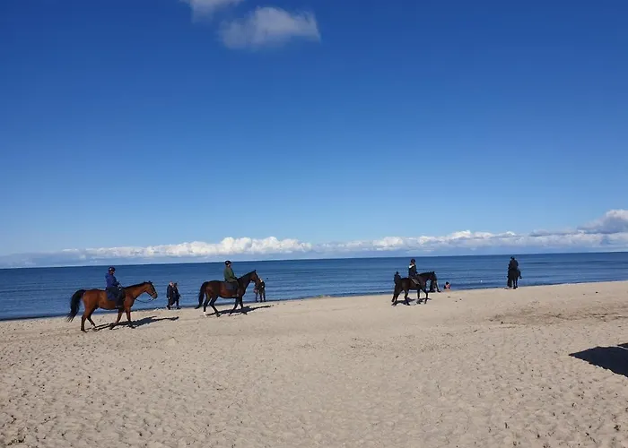 Ostsee, & Me Διαμέρισμα *